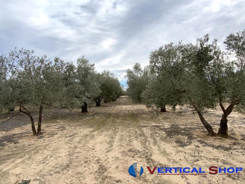 For sale of flat in Caudete