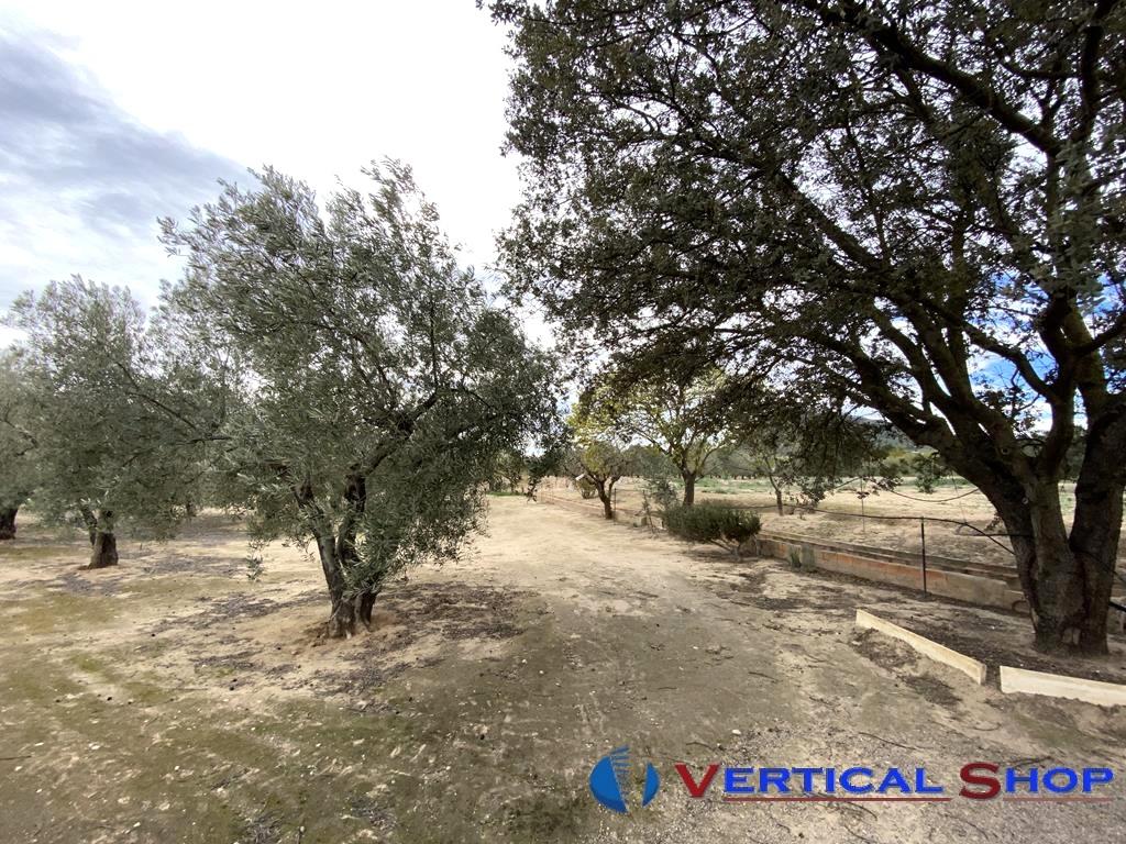 For sale of flat in Caudete