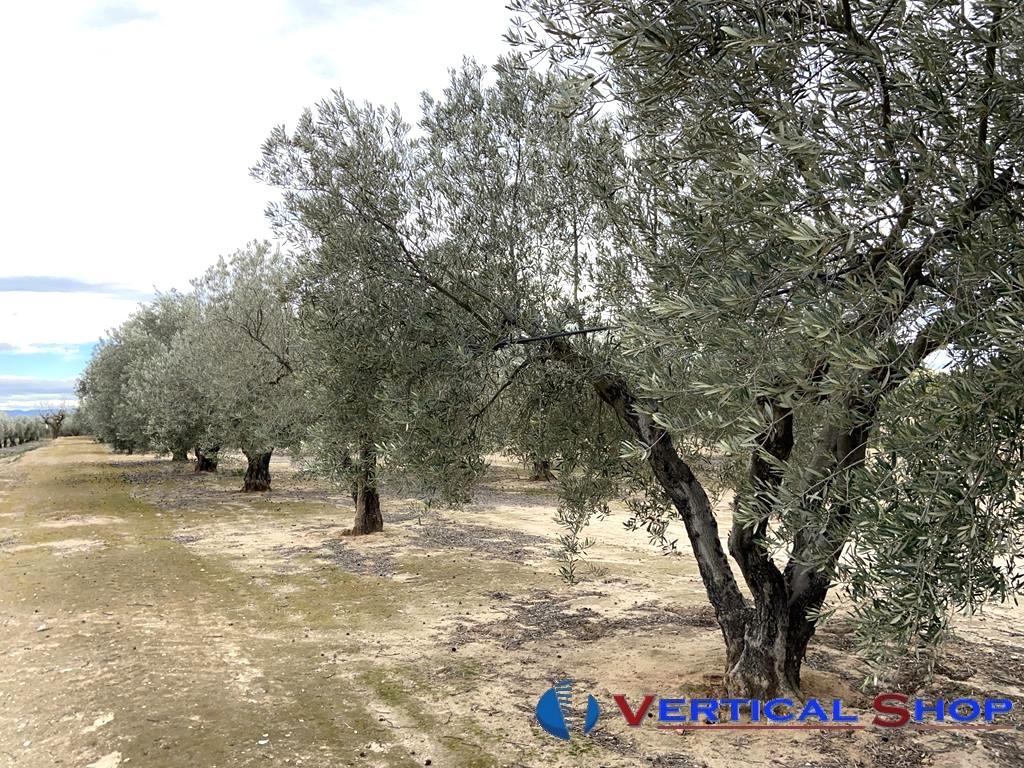 For sale of flat in Caudete