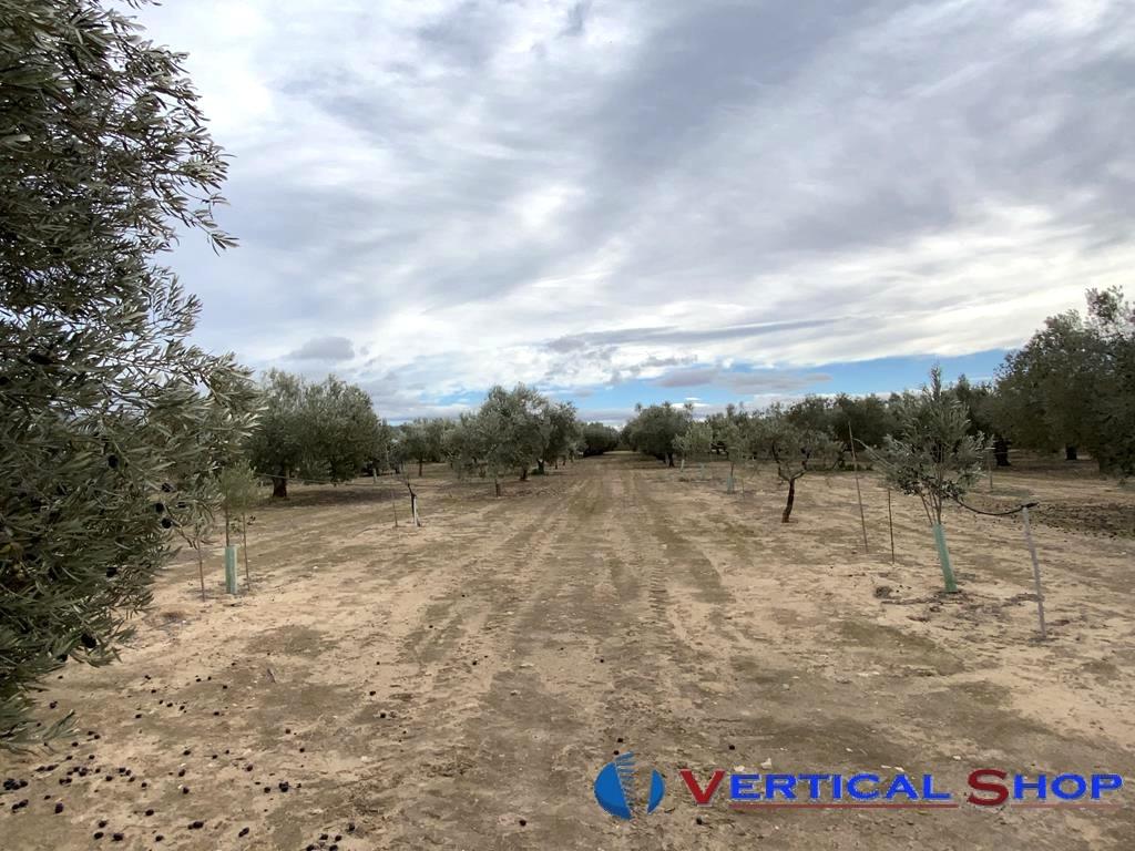 For sale of flat in Caudete