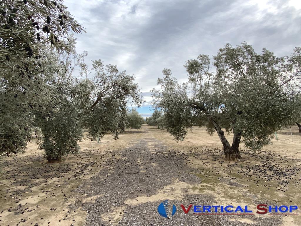 For sale of flat in Caudete