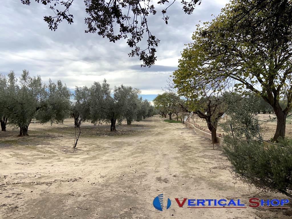 For sale of flat in Caudete