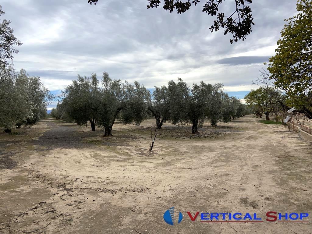 For sale of flat in Caudete