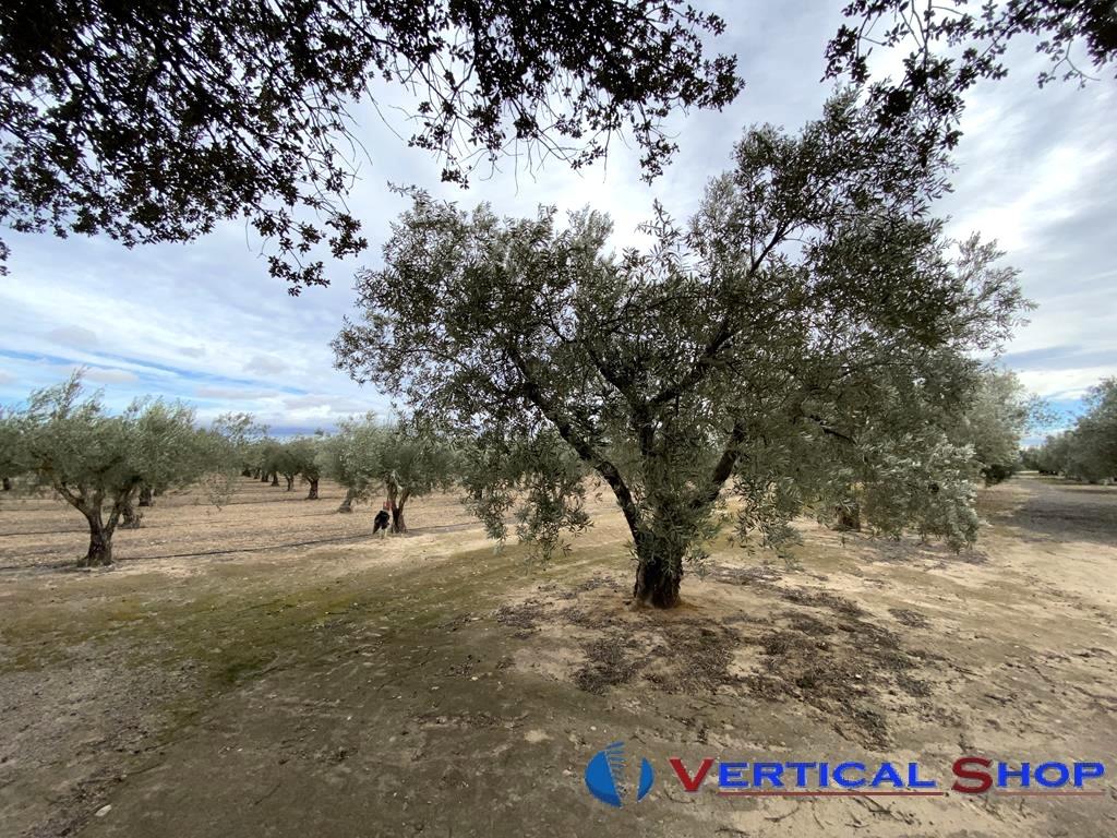 For sale of flat in Caudete