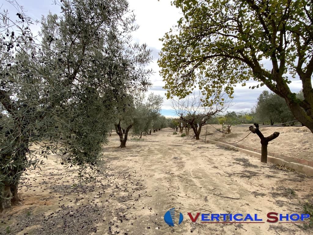 For sale of flat in Caudete