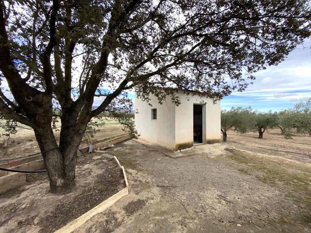 For sale of flat in Caudete