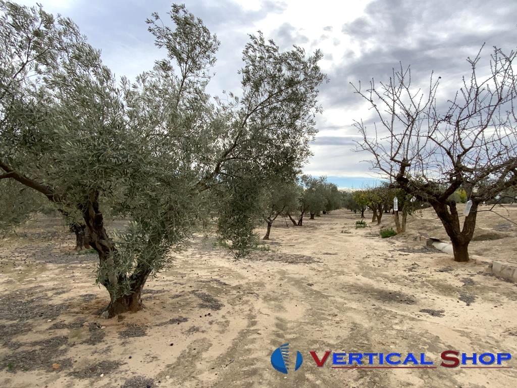 For sale of flat in Caudete