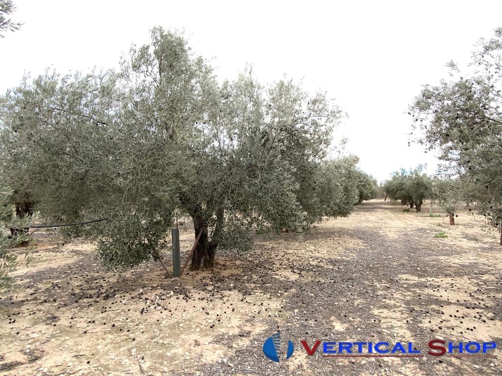 For sale of flat in Caudete