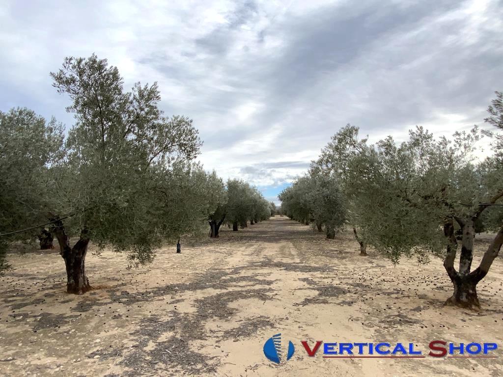 For sale of flat in Caudete
