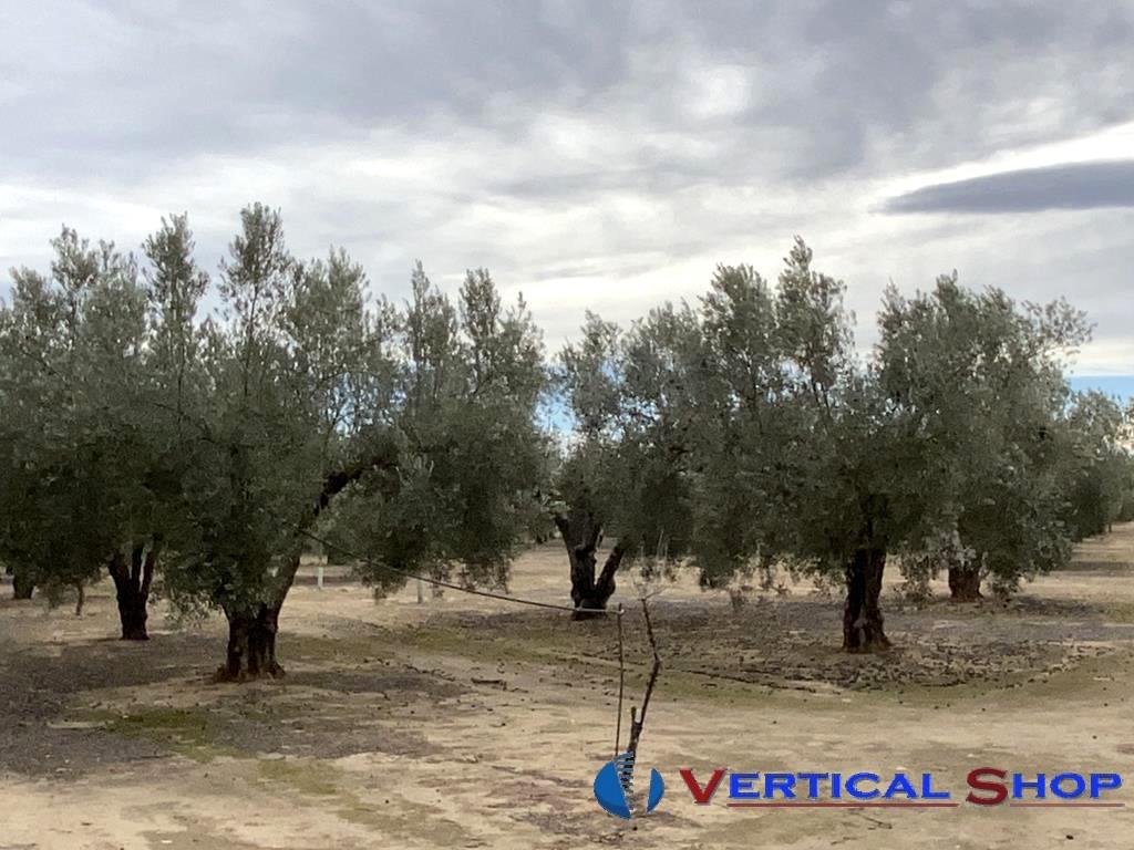 For sale of flat in Caudete