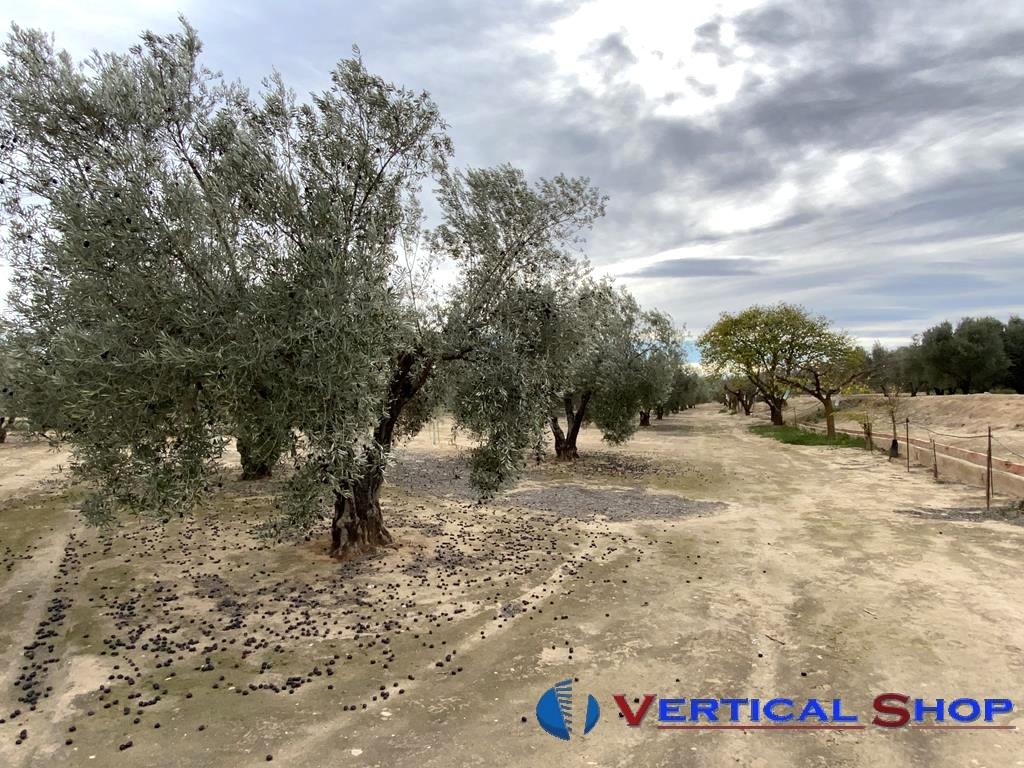 For sale of flat in Caudete