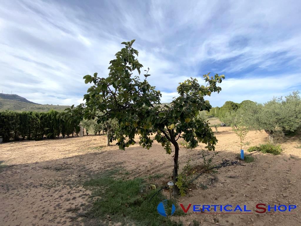 For sale of chalet in Caudete