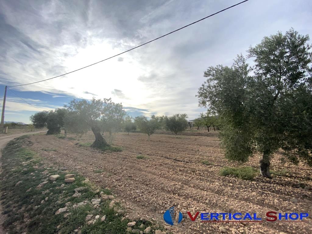 For sale of chalet in Caudete