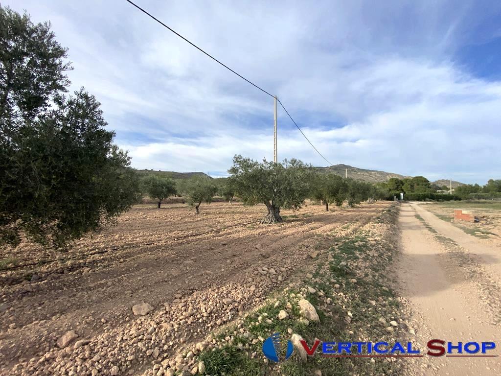 For sale of chalet in Caudete