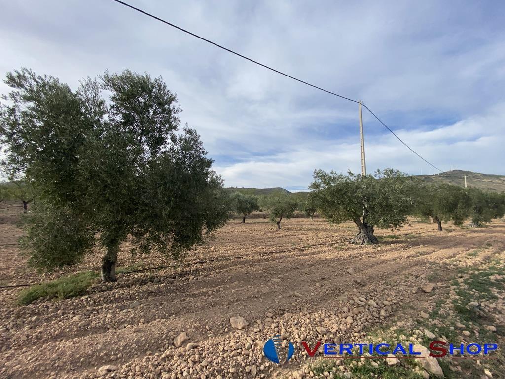 For sale of chalet in Caudete