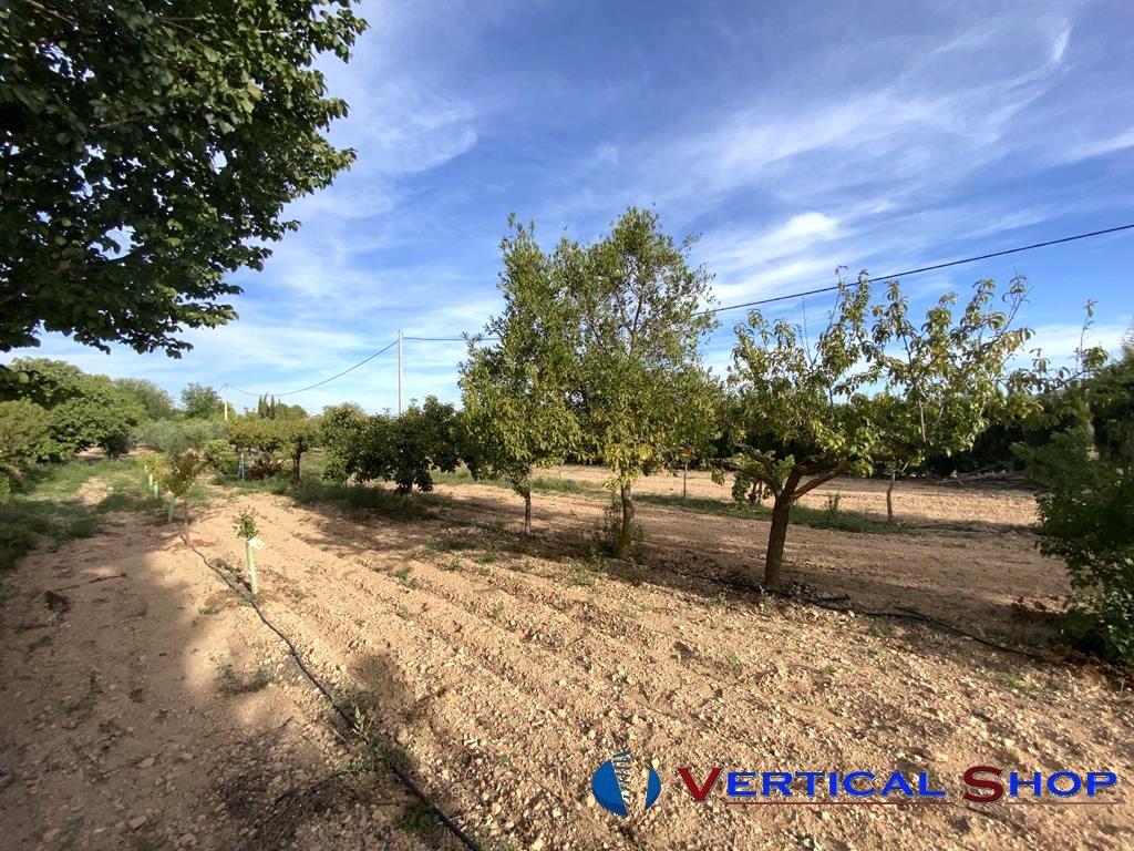 For sale of chalet in Caudete