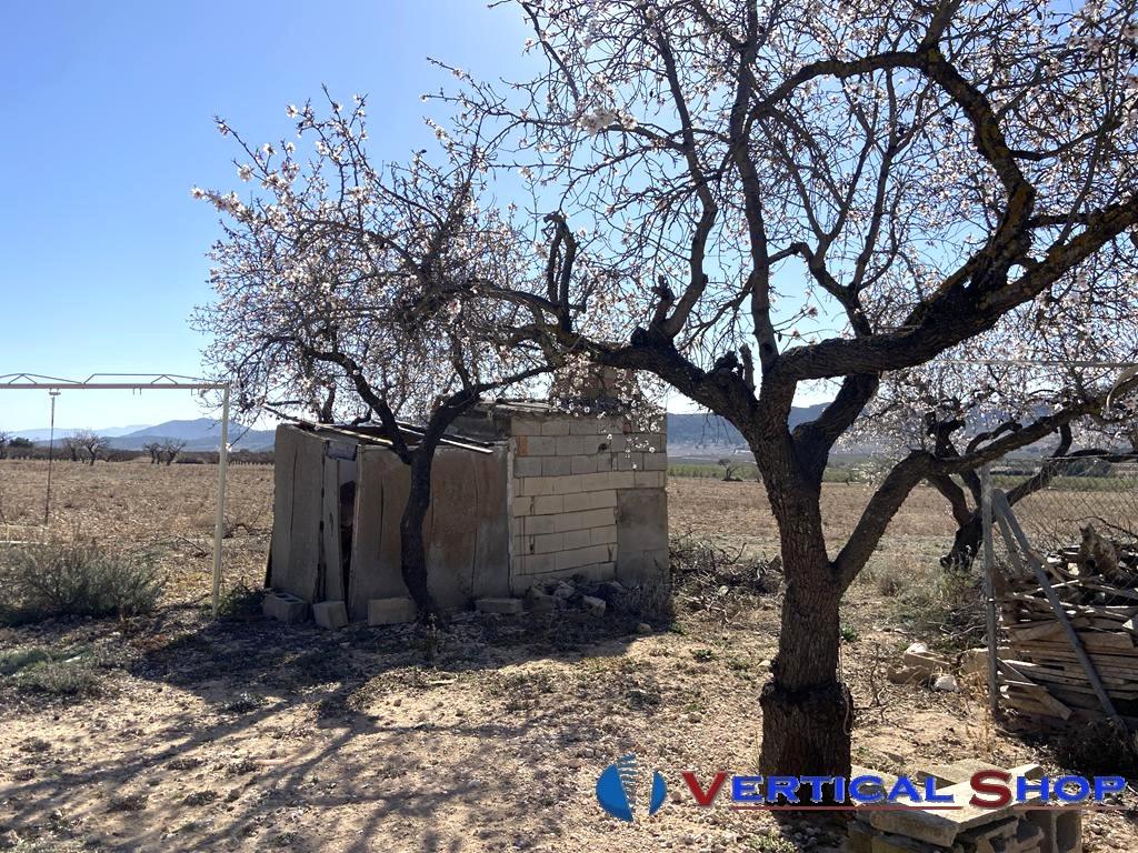 For sale of chalet in Caudete