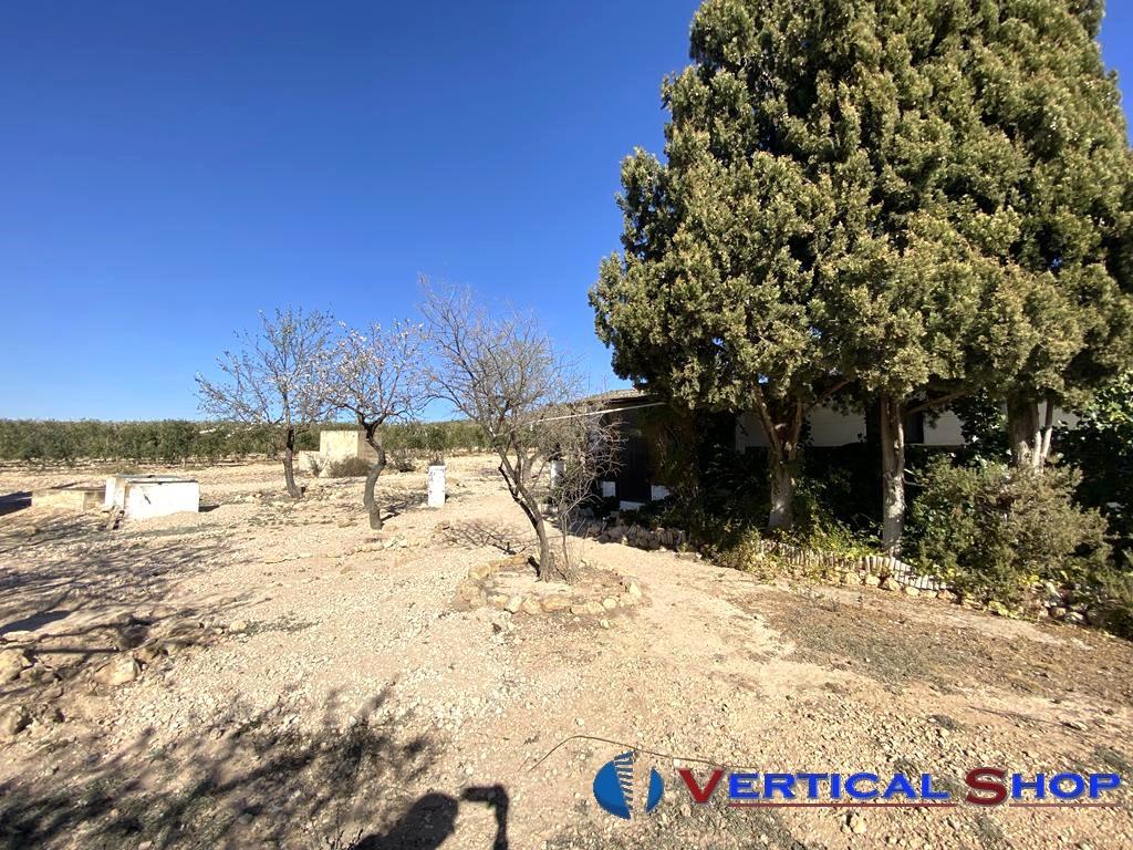 For sale of chalet in Caudete