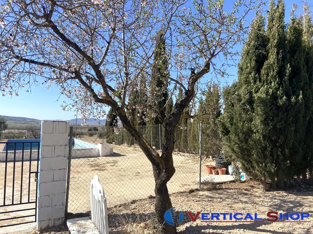 For sale of chalet in Caudete