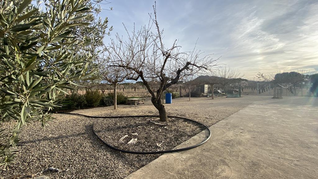 Venta de chalet en Caudete