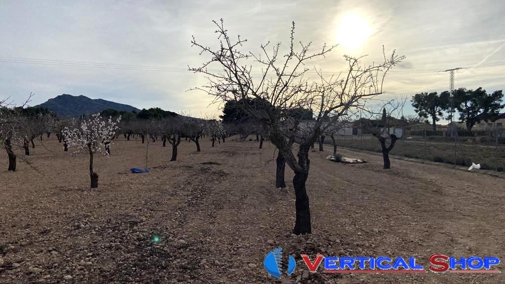 Venta de chalet en Caudete