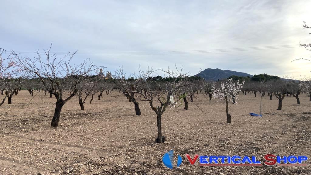 Venta de chalet en Caudete
