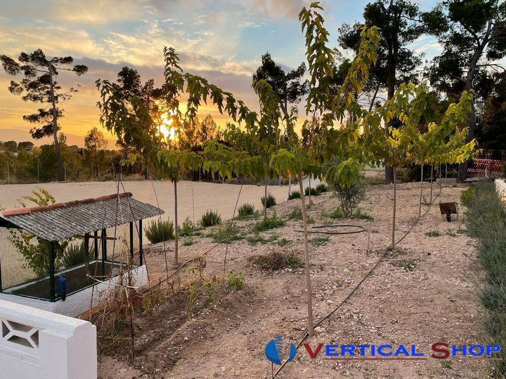 For sale of chalet in Ibi