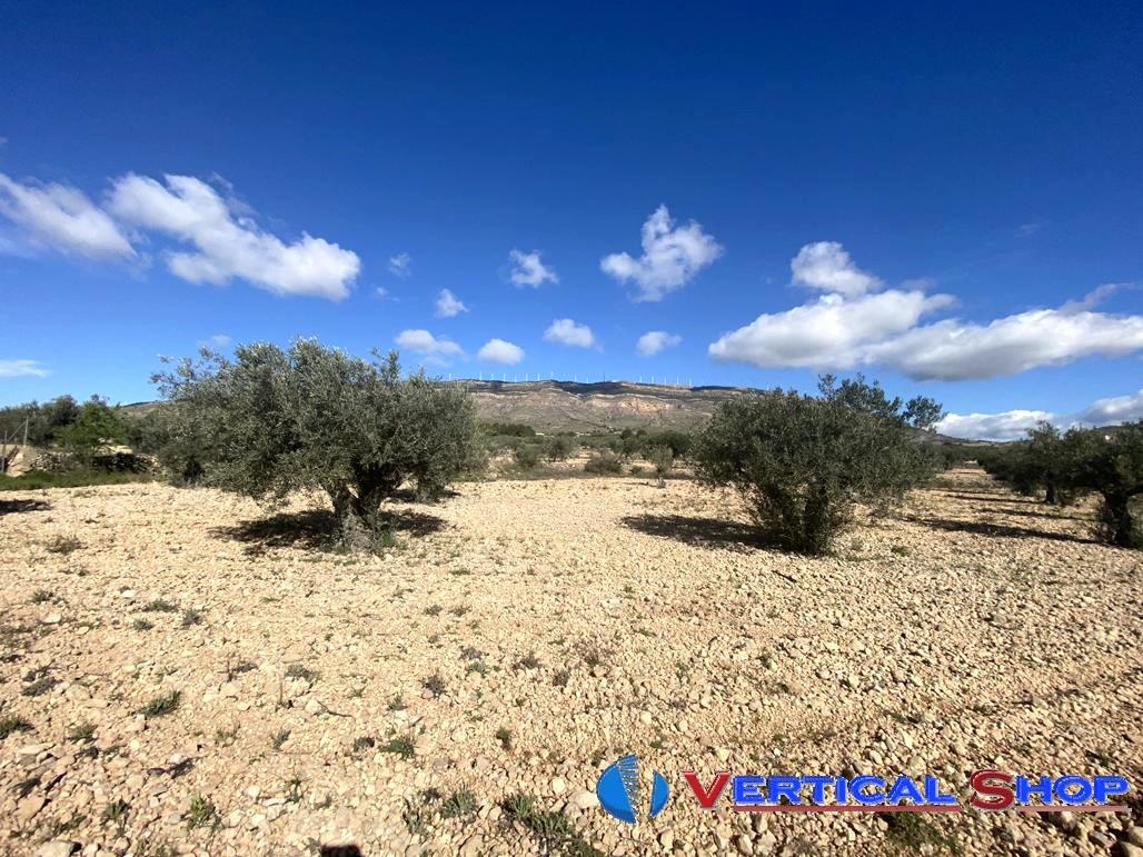 For sale of chalet in Caudete