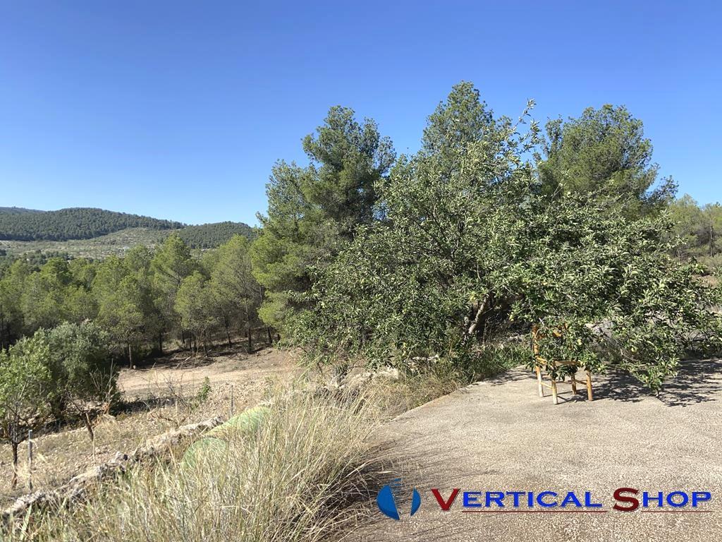 For sale of chalet in Villena