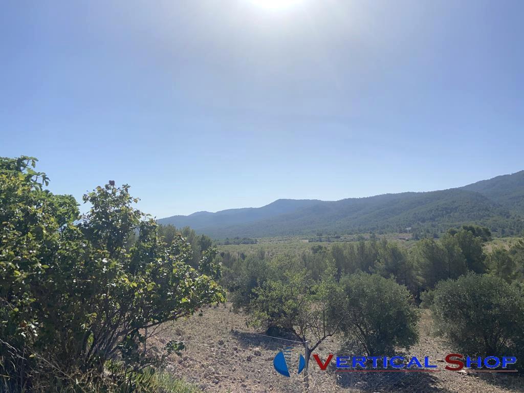 For sale of chalet in Villena