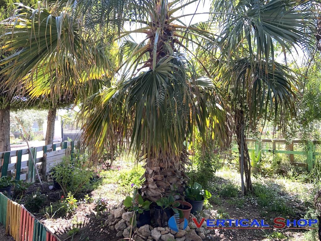 For sale of chalet in Caudete