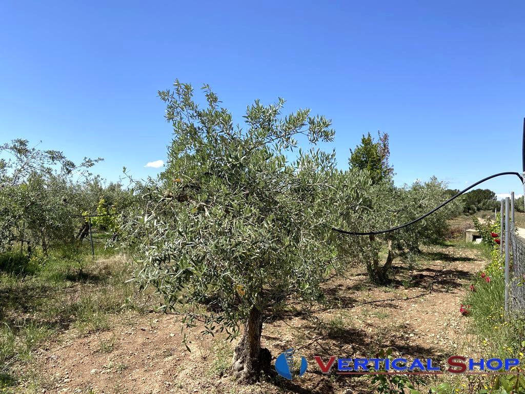 For sale of chalet in Caudete