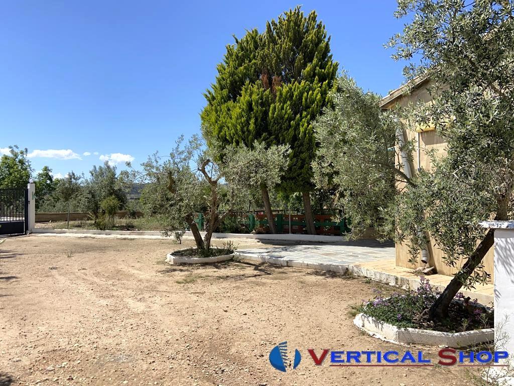 For sale of chalet in Caudete