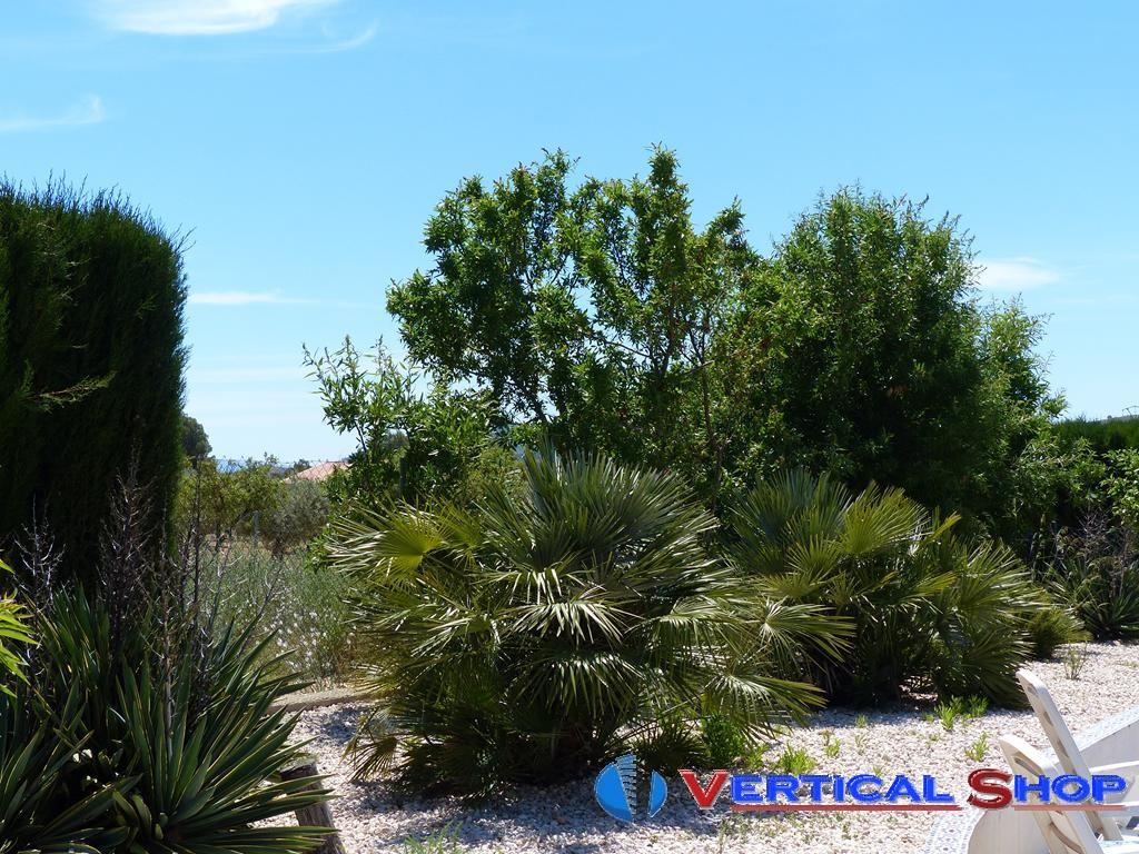 For sale of chalet in Caudete