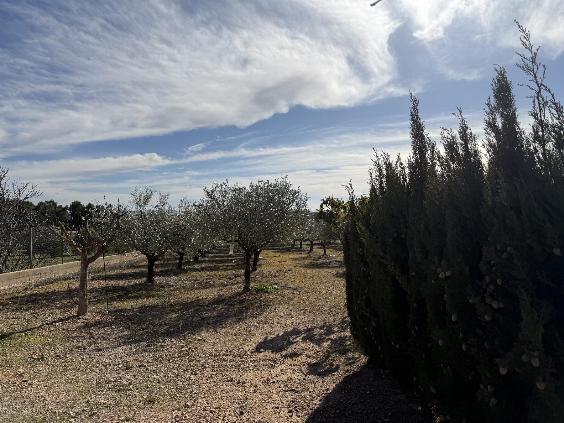 For sale of chalet in Caudete