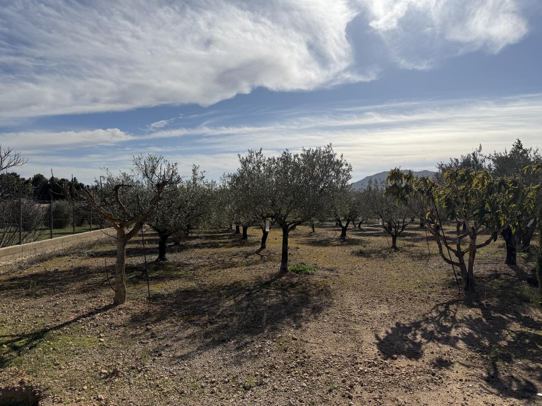 For sale of chalet in Caudete