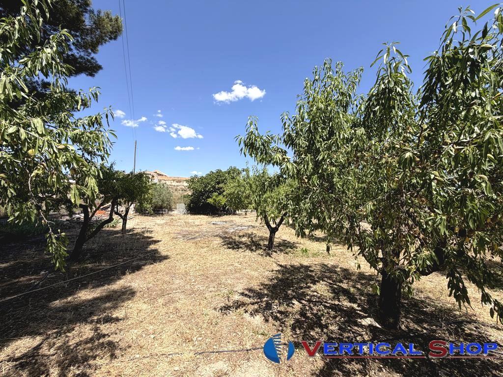 For rent of chalet in Caudete