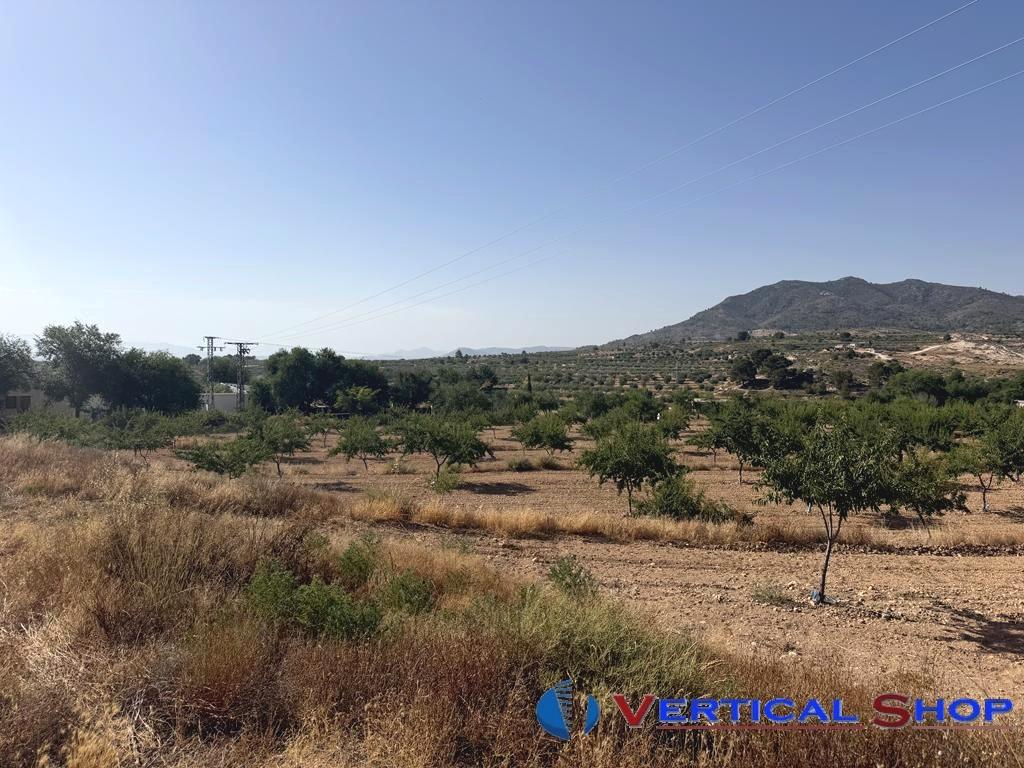 For sale of land in Caudete