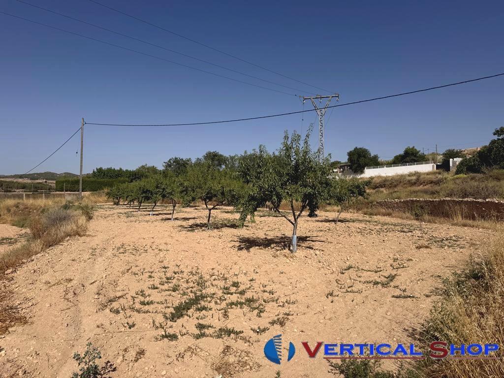 For sale of land in Caudete