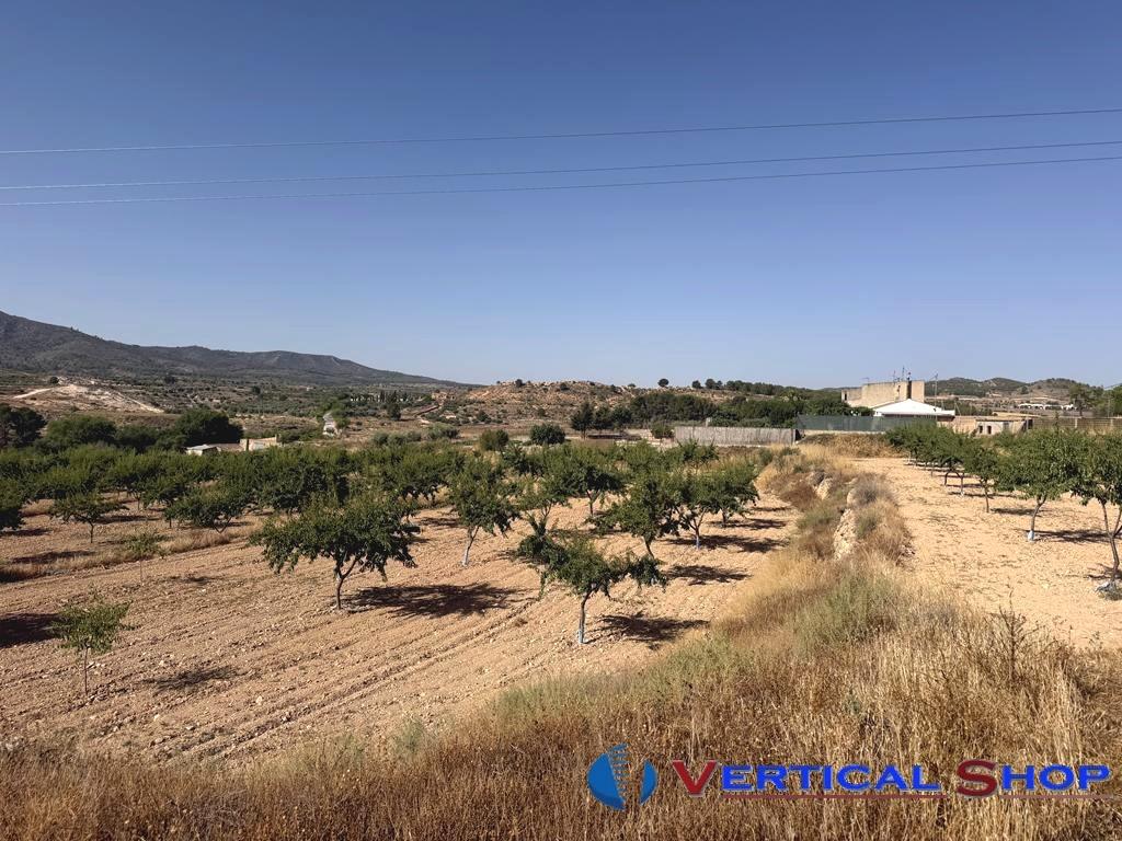 For sale of land in Caudete