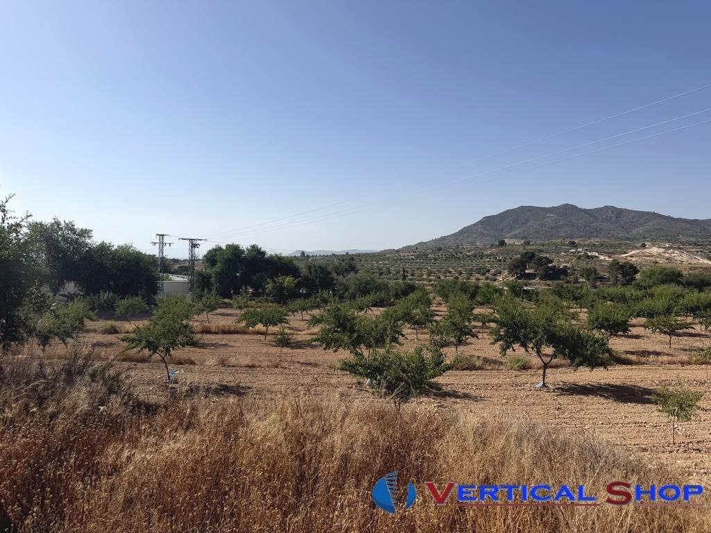 For sale of land in Caudete