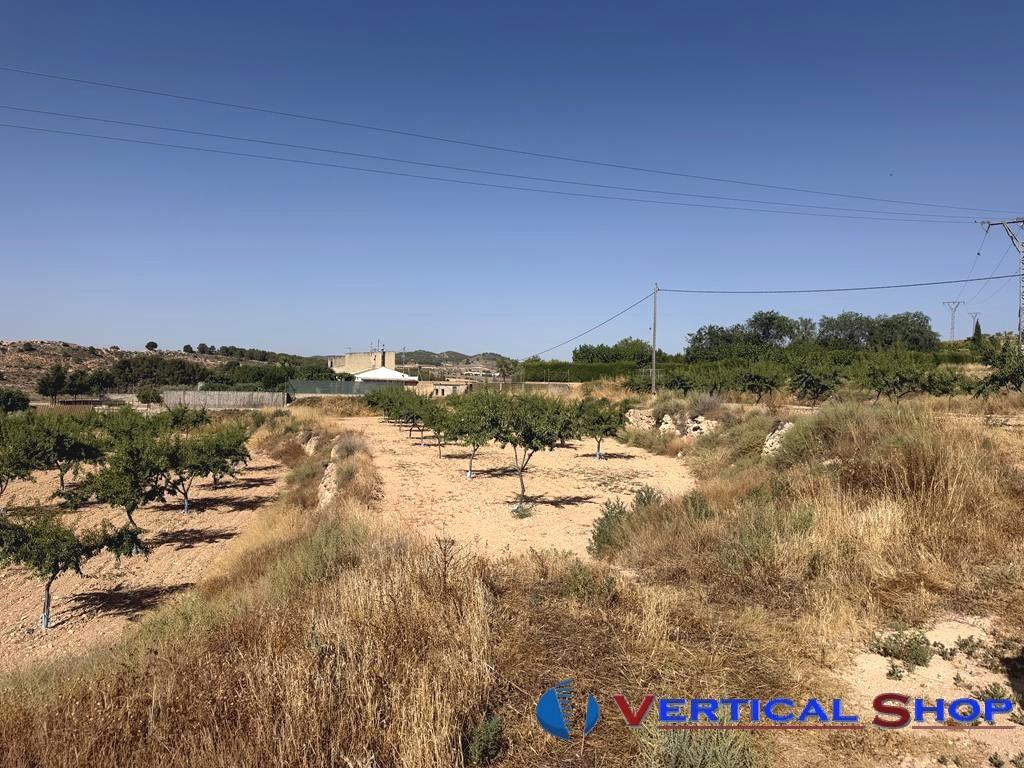 For sale of land in Caudete