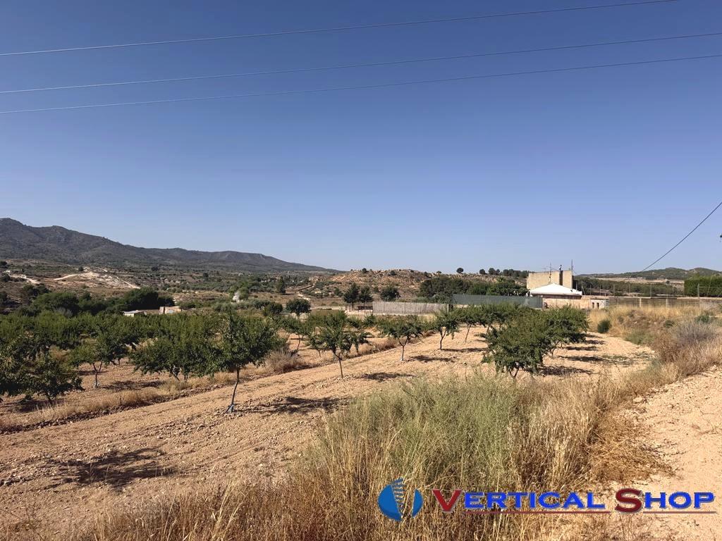 For sale of land in Caudete