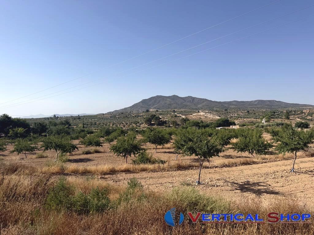 For sale of land in Caudete