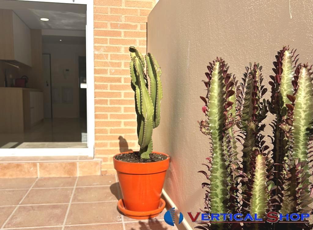 For sale of penthouse in Alicante