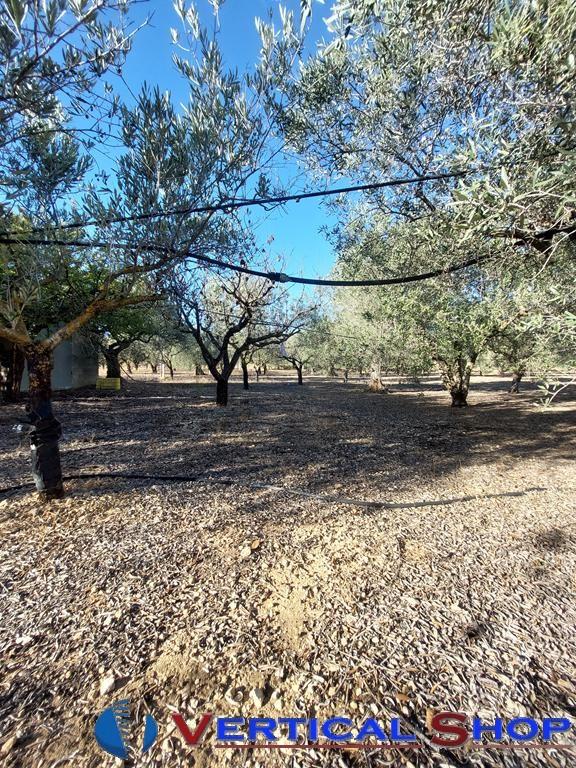 For sale of chalet in Caudete