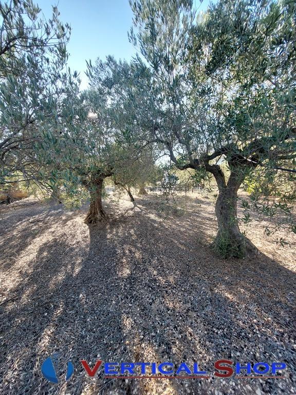 For sale of chalet in Caudete