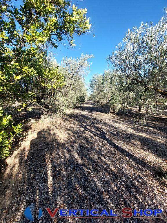 For sale of chalet in Caudete
