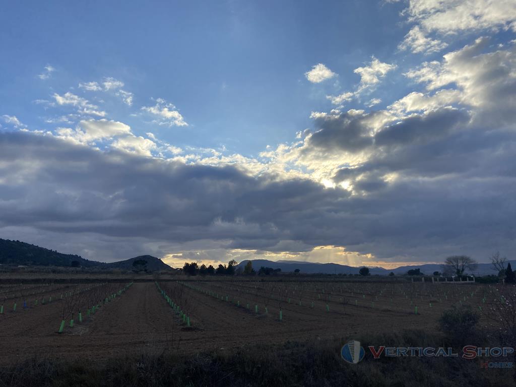 Venta de chalet en Villena