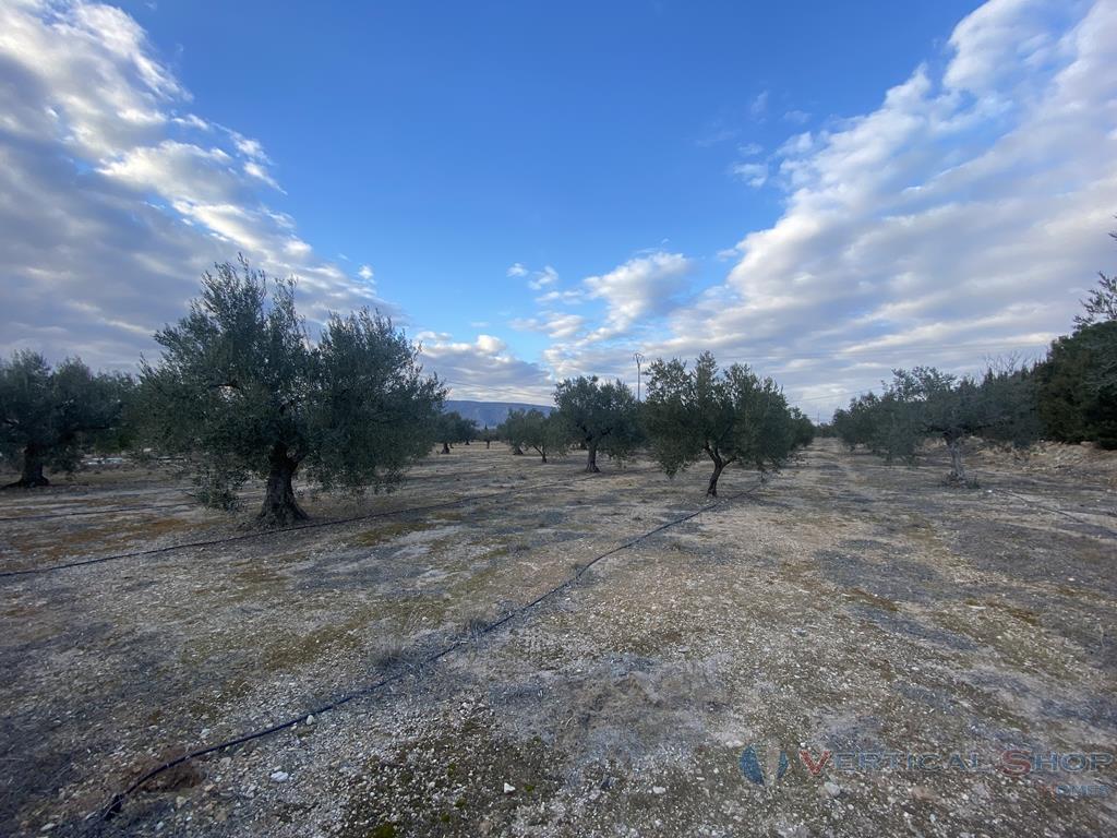 Venta de chalet en Villena